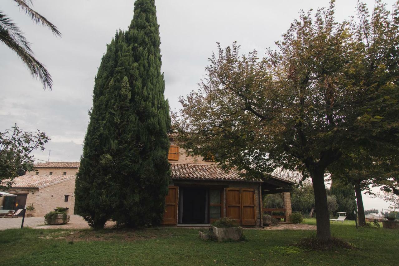 B&B Migliarino Civitanova Marche Eksteriør billede